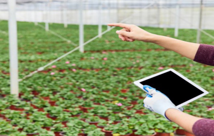 ���ξ���(�й�)�������޹�˾����